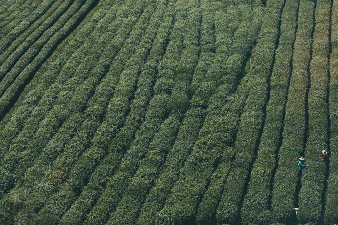 Qui soluta est vitae et